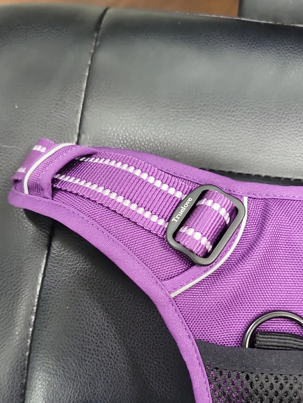 Purple Mesh Dog Harness for Kids Accessories